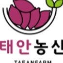 유일농산 이미지