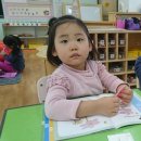 군내초교(병설) Daum카페