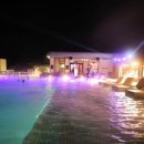 럭셔리펫 이미지