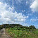 황룡농장 이미지