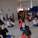 용인대윙스태권도장 이미지