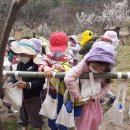 제비꽃반, 참나리반의 3월 3주 숲놀이터 이야기 이미지