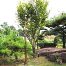 기와집민박 이미지