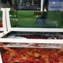 홍게너라면 이미지