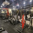 휘트니스 더 레이 이미지