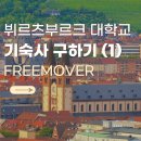 공동주택(기숙사) | [독일 교환/방문] 15. 뷔르츠부르크 대학교 기숙사 계약하기! (계약서 번역, 계약서 싸인, 보증금)