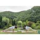 사시장청 | 오랜친구랑(합천 사시장청)