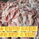 은비세탁