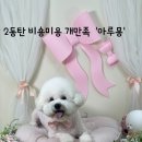 아루몽 이미지