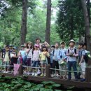 2011 어린이 여름방학 숲탐사기 - 제2강 편백나무 숲에서 오감체험 (채영숙강사) 이미지