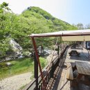 포시즌밸리계곡애견펜션 이미지