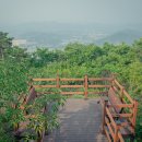 장령산자연휴양림 이미지