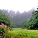 너무 바빠서 사랑을 잃어버린 우리에게 이미지