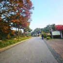 혁신도로 양지로 이미지