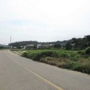 송해면-5 이미지