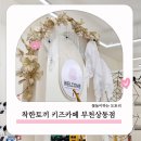 세븐일레븐부천기둥점 | 부천 키즈카페 대관 착한토끼 키즈카페 다녀온 후기
