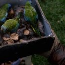 버드마트 이미지