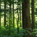 축령산 치유의 숲 안내센터 이미지