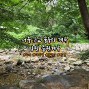 중원계곡펜션 | 서울근교 계곡 물놀이 하기좋은 양평 중원계곡 (주차,취사,펜션,샤워장)