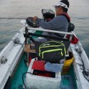 [카탑보트]남해 삼천포 갑오징어 루어낚시 이미지