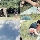 비밀기지 이미지