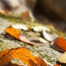 생활그림 천아트 이미지