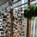 버섯생농장 이미지