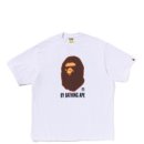 화이트 fit 이미지