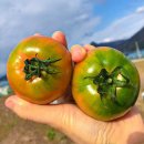 내외로L 이미지