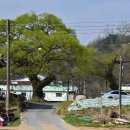 신대1리마을회관 이미지