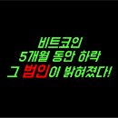 돈의비밀 - 09. 사상 최고가의 비밀 | 비트코인 5개월 동안 하락 그 범인이 밝혀졌다!