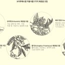 비타민전자 이미지