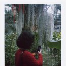 WR(서울특별시 강서구)-[마곡동로2길]-상-2 | 마곡 나들이-서울식물원, 펜레터 매장 방문 후기