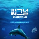 생명의 시작 | 씨그널 바다의 마지막 신호 정보 및 후기 생명의 시작이자 끝