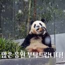 초ㅠ 이미지