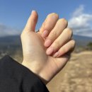네일로데
