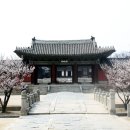 창경궁 홍화문 옆 이미지