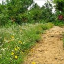 봉산2로 이미지