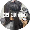 감천초등학교 입구 (옥외1) | 천안 빈에물들다 / 불당동 여자머리 잘 하는 곳 천안 레이어드 솔직 후기