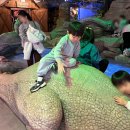 (주)화석자동차 | 공룡테마파크 다이노베이 용인 5살 쫄보와 내돈내산 방문 후기 + 할인팁