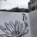 경희김주원한의원 네이버블로그