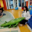 👉 “악어야 집에 가~! 😆 오르프 첫 이야기 시작! 🎶🐊”[산들바람1,2,3반] 이미지