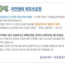금강힐링캠프