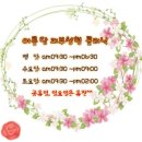 아름담의원 이미지