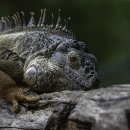 3구4구당구장 이미지