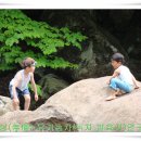 쌍계초등학교 이미지