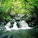 산장여관(농원) 이미지