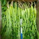 연한농장 이미지