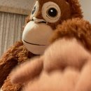 진평2길-1 이미지