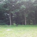 솔밭개울 이미지